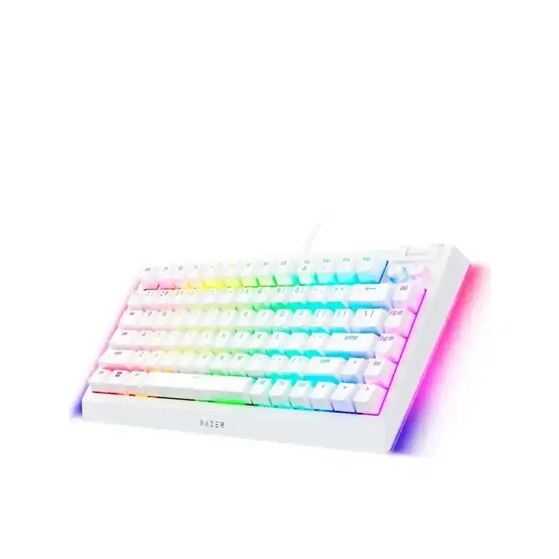 Razer BlackWidow V4